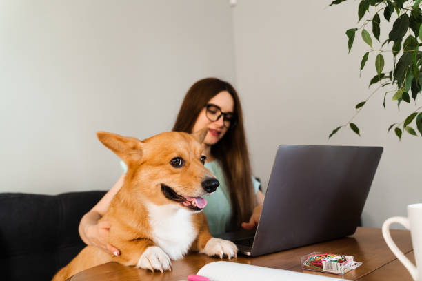 How to prevent pets from interrupting work-from-home meetings – Tile ...